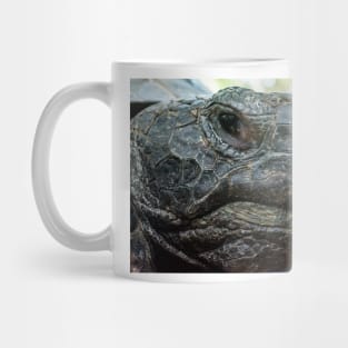 Florida Gopher Tortoise Mug